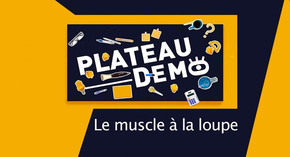 plateaudemo_muscle