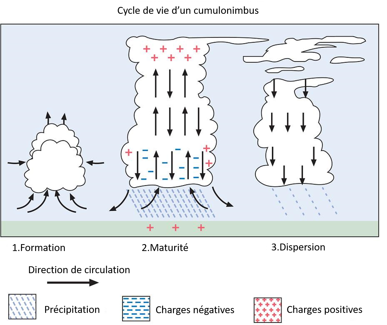 Cycle de vie d’un cumulonimbus en trois phases