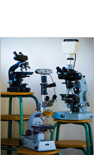 Microscope Larrouy