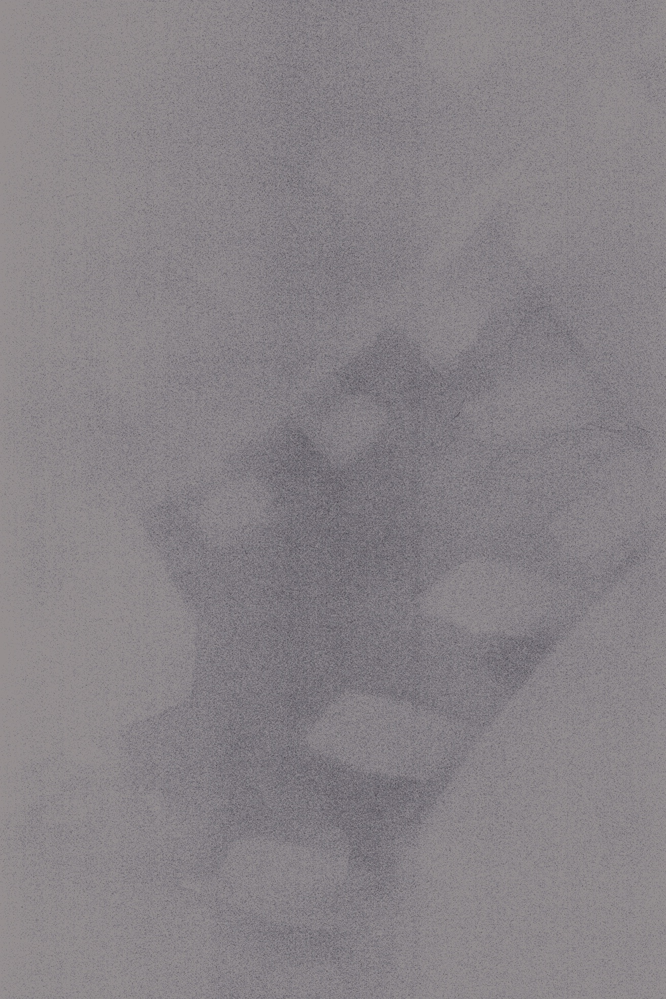 © The very pulse of the machine, inframince, 2025, scan de pelicule argentique sensible infrarouge de Sara Bensaltana