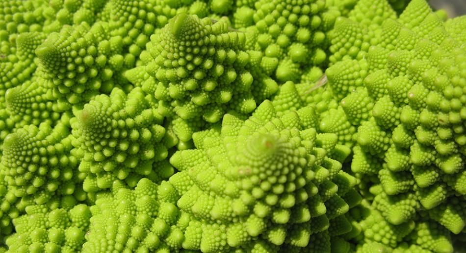 chou romanesco fractal