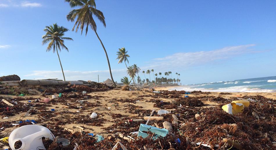 Microplastiques pollueurs