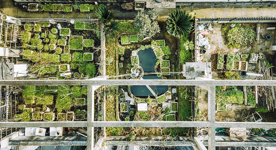 Ville vue du ciel avec potagers urbains sur les toits