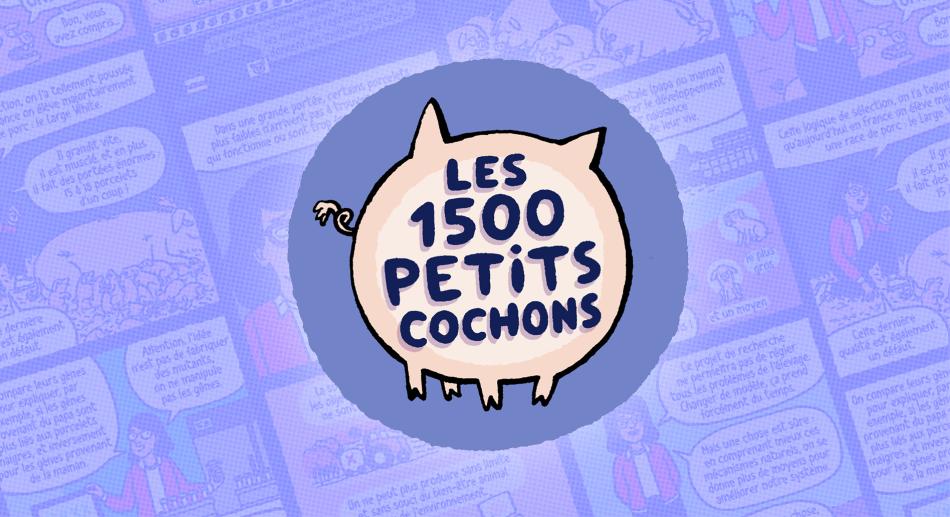 Les 1500 petits cochons