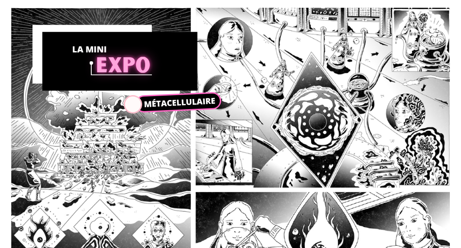 Mini expo : Art et science : voyage dans l'espace cellulaire du pancréas
